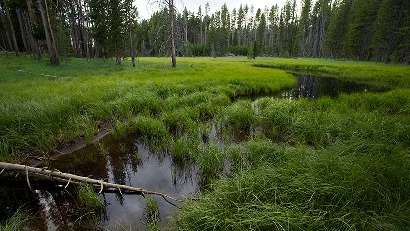 Colorado Water Plan Announcement