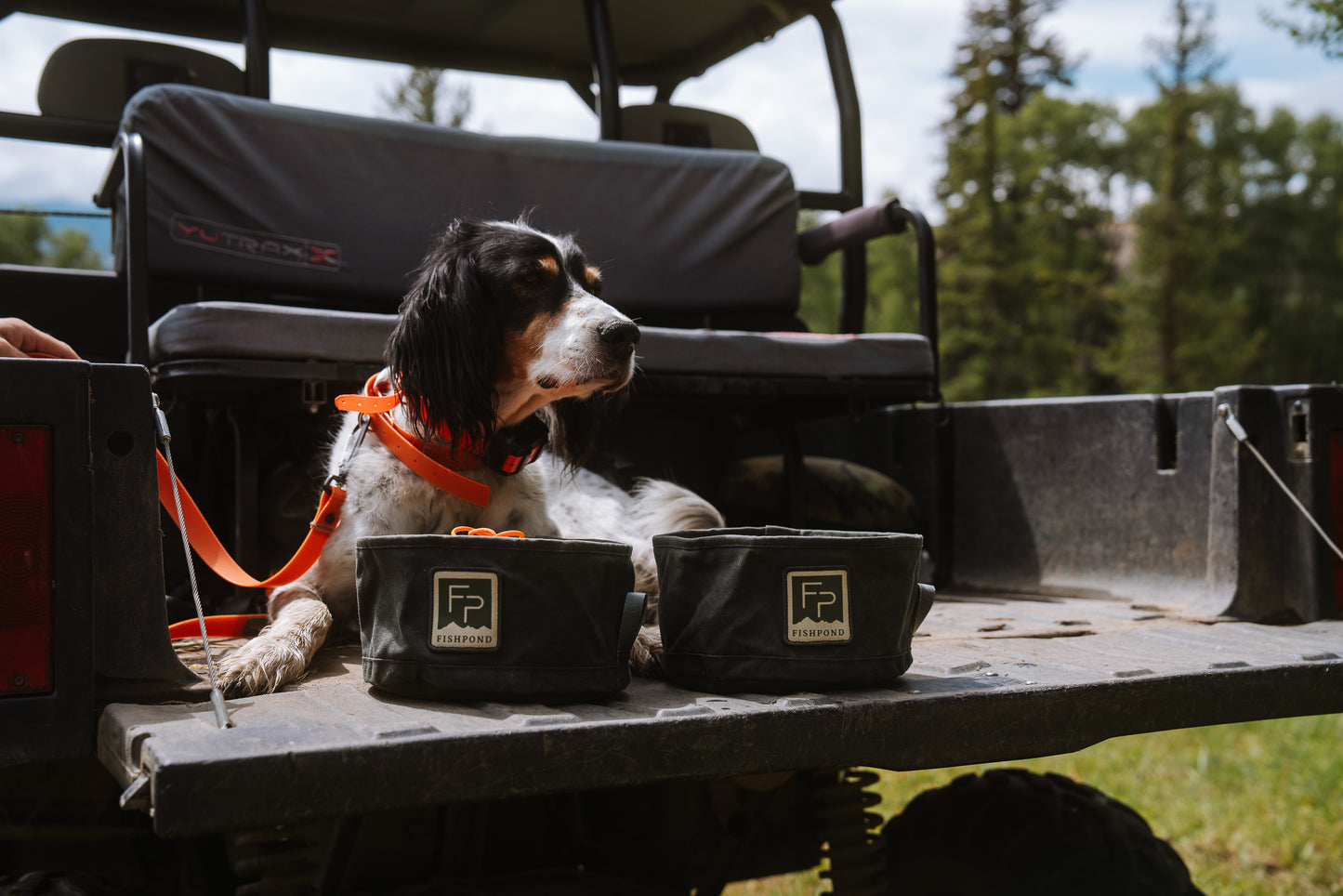 dog with food and water bowls