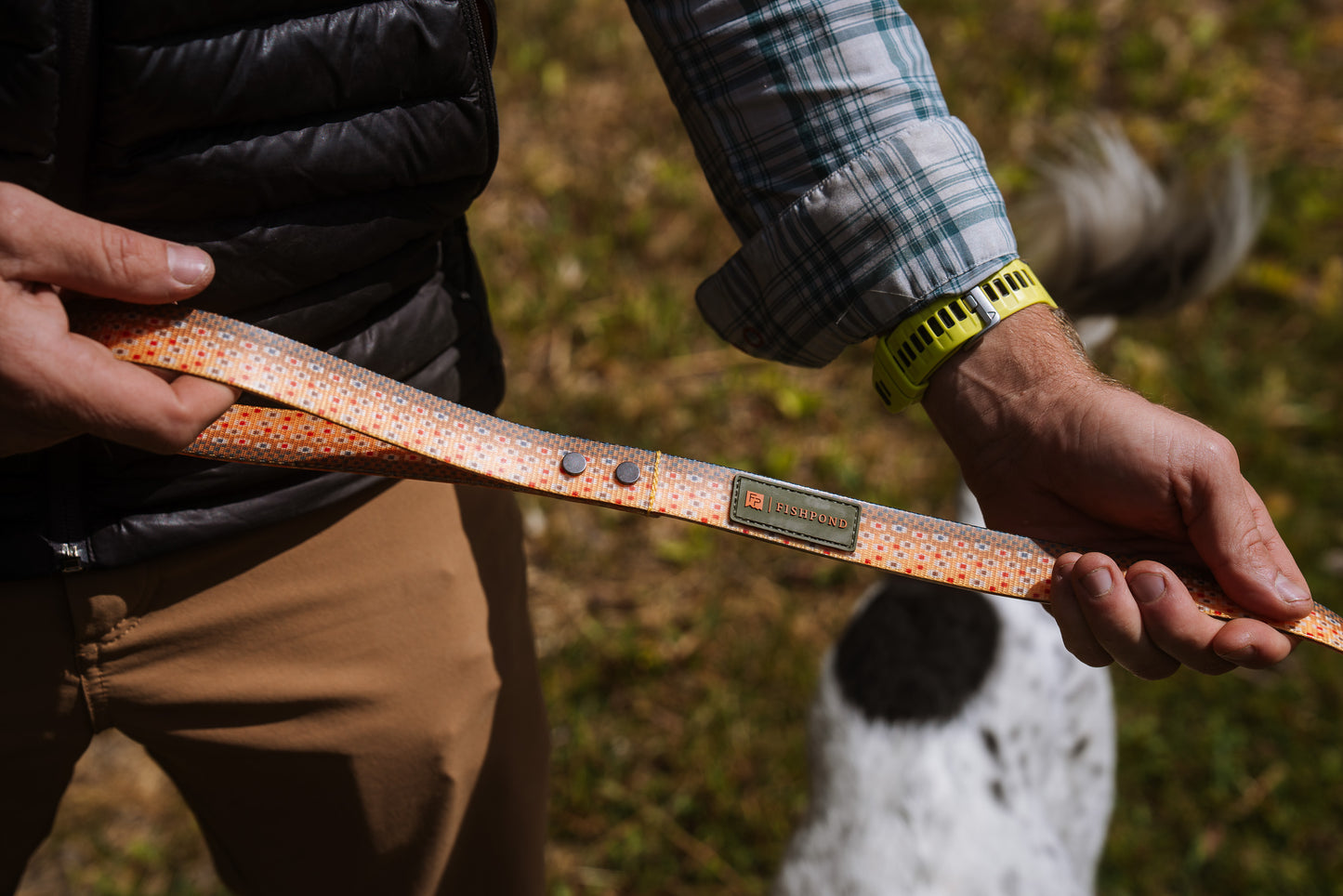 trucha dog leash in use