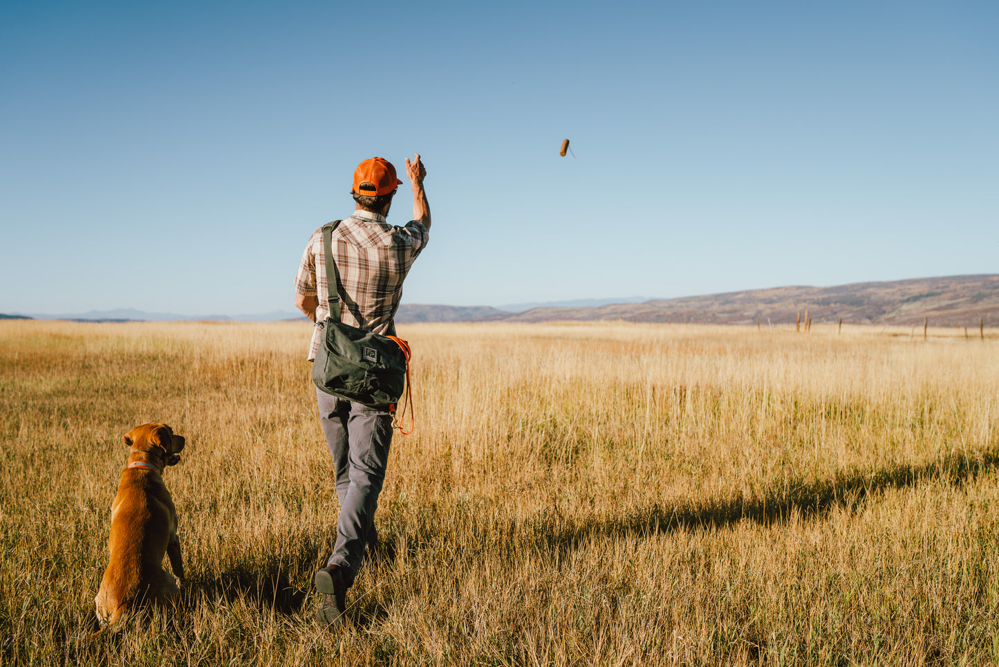 Man and dog in a field with a clear blue sky